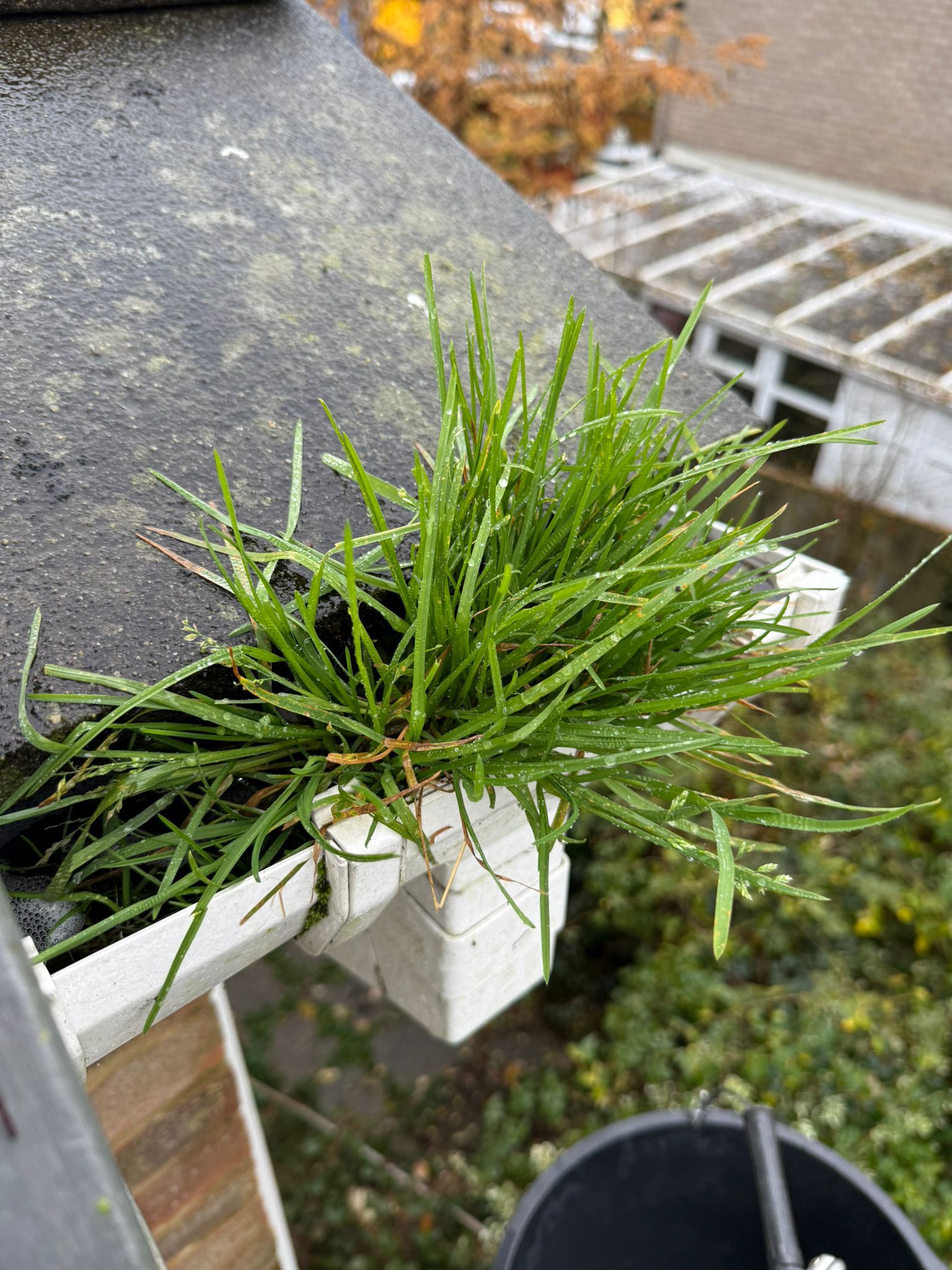 Blocked gutter downpipe in Reigate